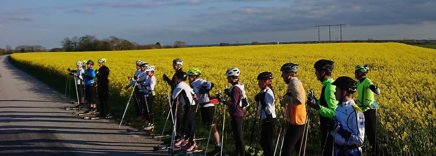 Rullskidåkare längs en väg bredvid ett blommande rapsfält